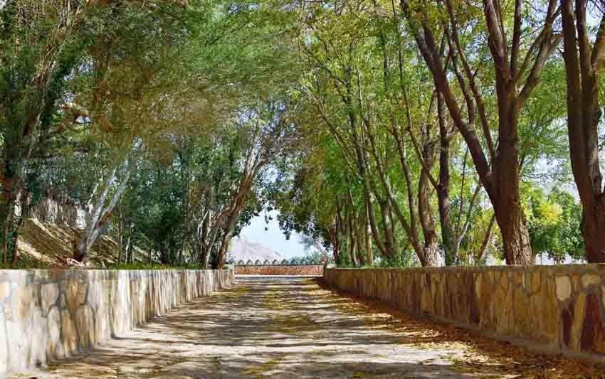 Mahadha Hotel